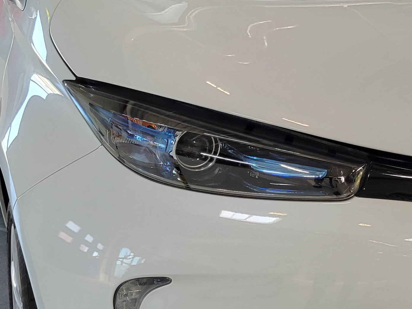 Halogen lamp with projection module