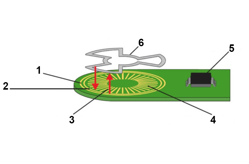 Funcionamiento del sensor de pedal acelerador: Estructura del sensor de pedal acelerador 